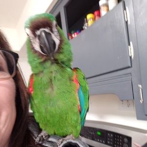 Meet your Posher, Tonya